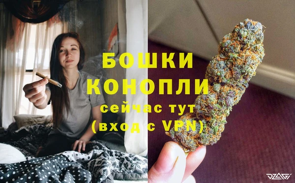 Альфа ПВП Дмитровск