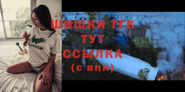 стаф Дмитриев