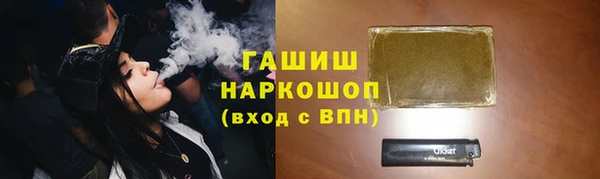 хмурый Гусь-Хрустальный