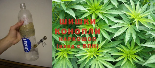 сатива Гусиноозёрск