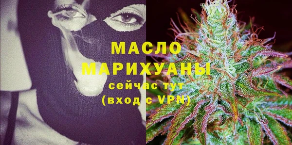 хмурый Гусь-Хрустальный