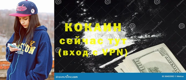 сатива Гусиноозёрск