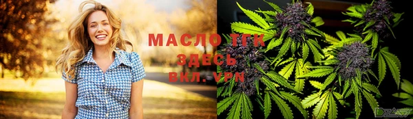 хмурый Гусь-Хрустальный