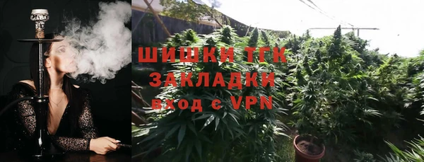 хмурый Гусь-Хрустальный