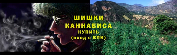 стаф Дмитриев